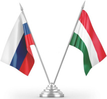 Вадим Меркулов принял участие в совещании Минздрава России с венгерской делегацией